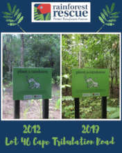 Lot 46 - compare and celebrate what Nature can do!