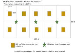 Monitoring diagram (courtesy of Dr Robert Kooyman)