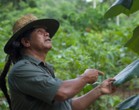 Daintree Nursey Manager Adrian