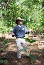 Dr Robert Kooyman in the Daintree