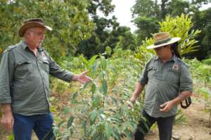 Joe and Adrian review latest planting