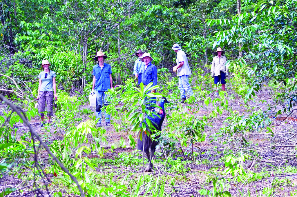 Create a Nature Conservation Reserve on Lot 46