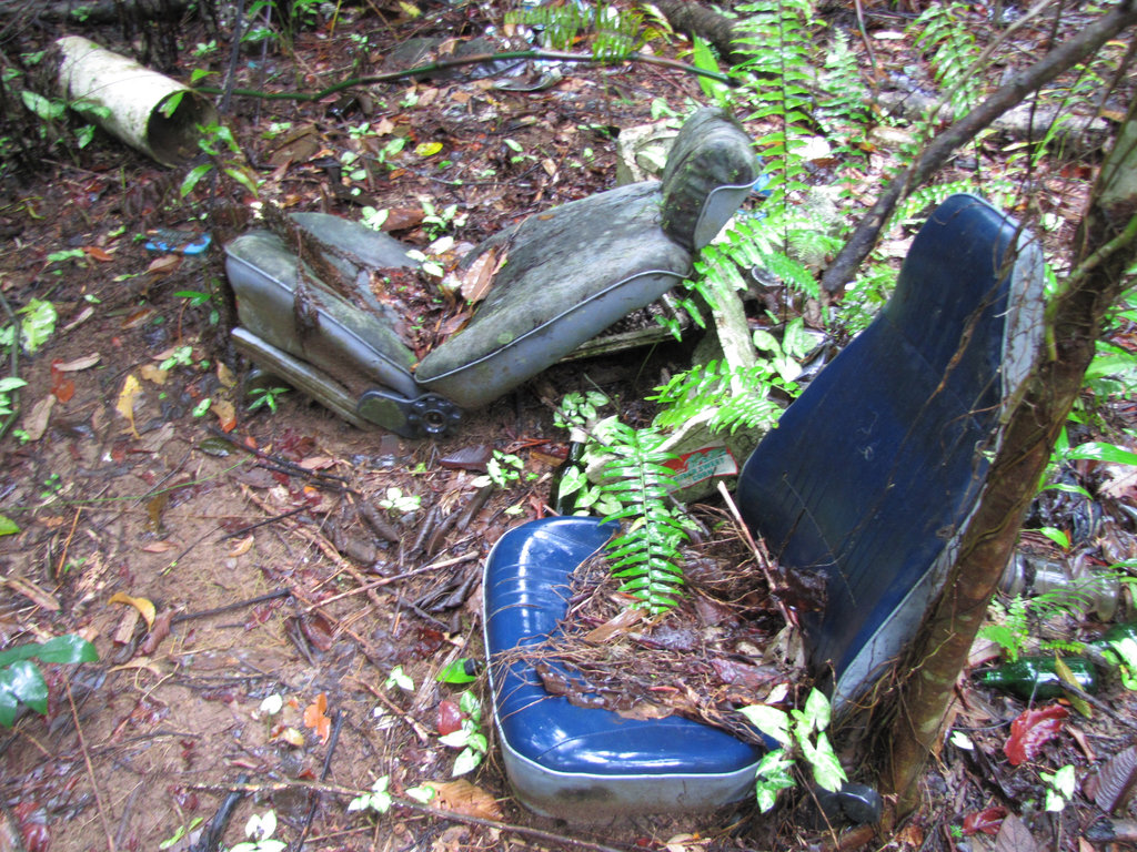 Create a Nature Conservation Reserve on Lot 46
