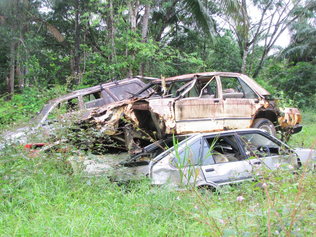 Create a Nature Conservation Reserve on Lot 46