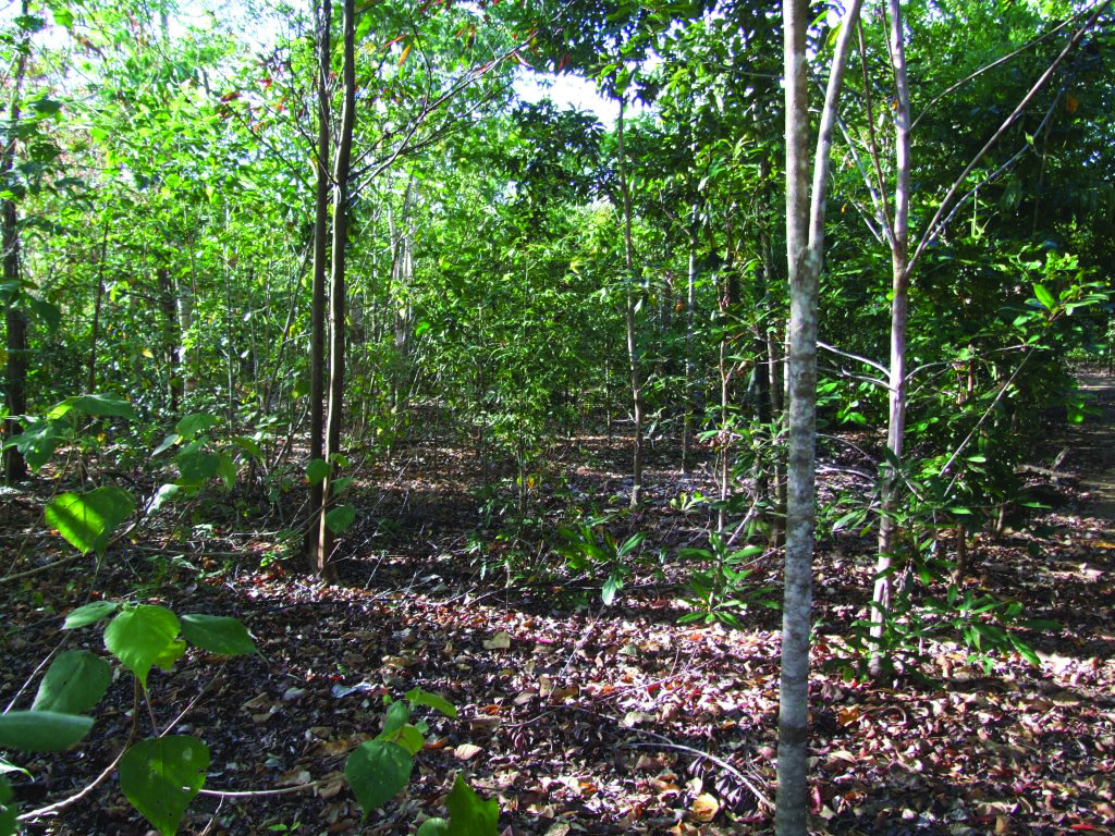 Create a Nature Conservation Reserve on Lot 46