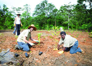 Volunteers planting seedlings