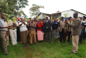 Farmers showing off their agroforestry seedlings