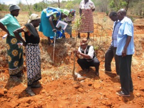 Tawa Farmers learning to graft from Mr. Peter