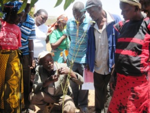 Tawa Farmers learning to graft from Mr. Peter