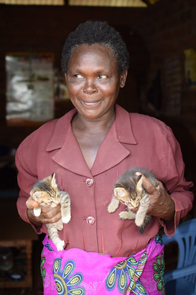 Life is hard but there are kittens to help!