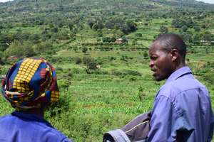 Tawa woman looks at neighbor's trees and sees hope