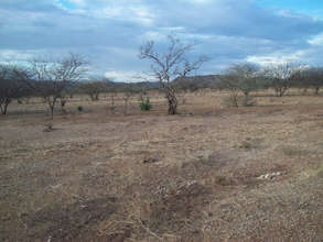 Current Practices Have Left this Land Dry &Tired