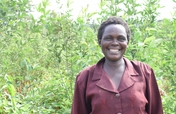 Grow Money on Fruit Trees! Help 288 Families!