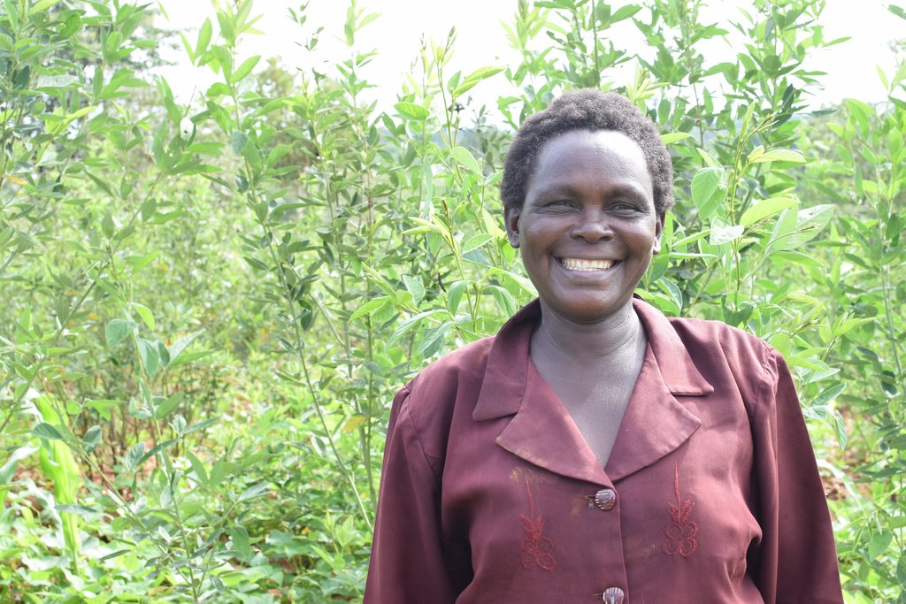 Grow Money on Fruit Trees! Help 288 Families!