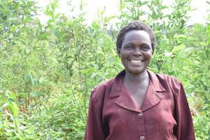 Grow Money on Fruit Trees! Help 288 Families!