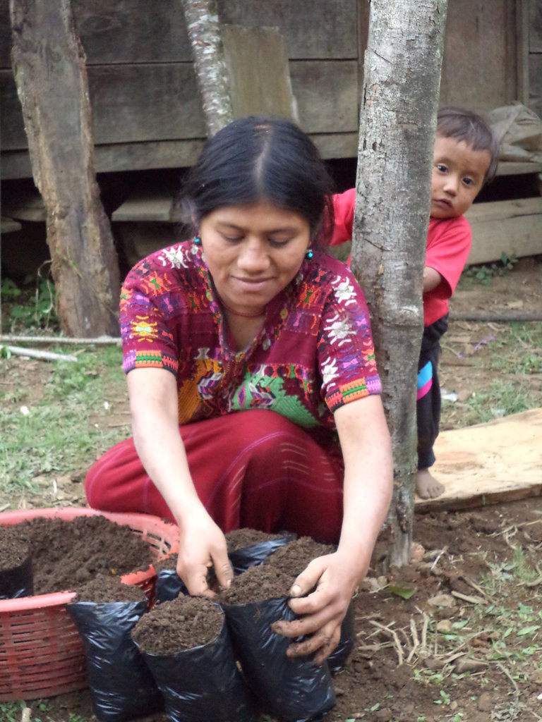 Vegetable Gardens for 20 Elders with No Resources