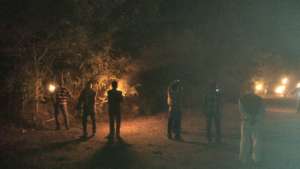 The leopard drive continued late into the night