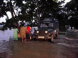 Support Mobile Ambulance Service for Wild Animals