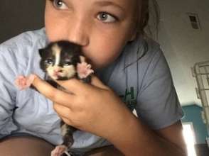 Chai and One of her Foster Mommas