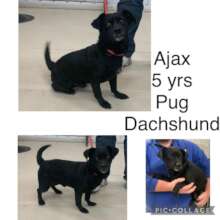 Ajax