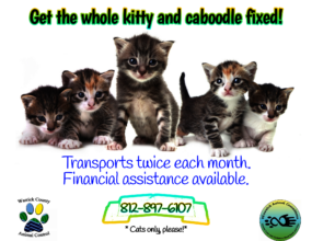 Way We Can Help