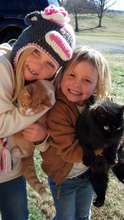 Happy kittens in their new home