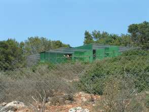 Acclimatization center for vultures to be released