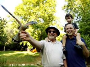 Lesser Kestrel released into the wild from the Zoo