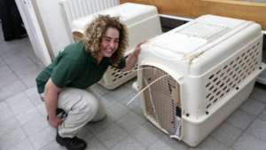 The new otters arrive from Ukraine