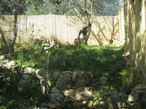 A new home at the Otter Breeding Center