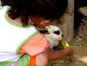 Bonding with the bunnies