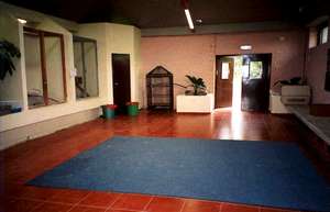 The "Animal House" therapy classrooms