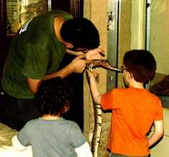 Animal Assisted Therapy