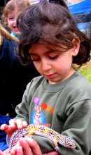 An Effective Program