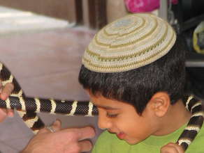 A unique therapeutic modality