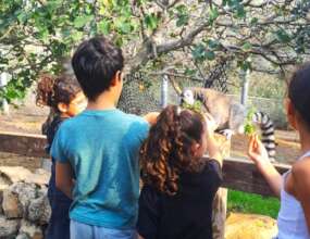 Participants at the Zoo during better days