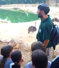 Getting to know the animals at the zoo