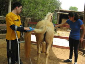 Taking care of the ponies