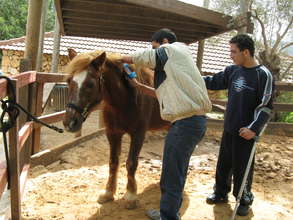 Children, youth and adults can benefit