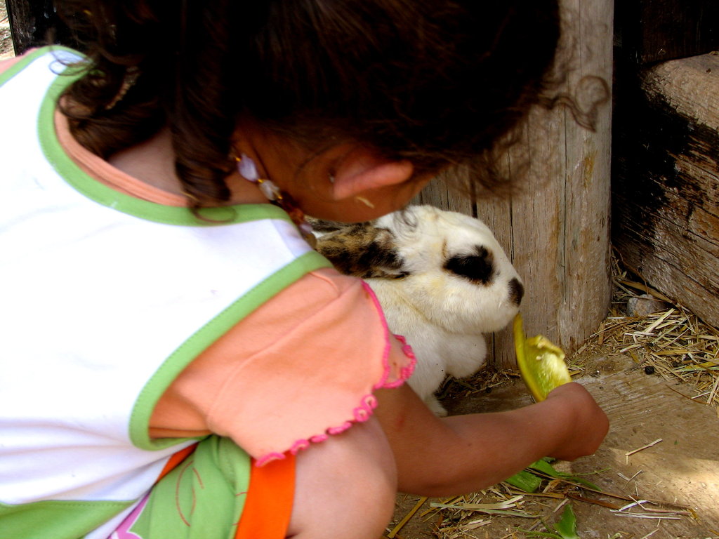 Animal Assisted Therapy for Special Needs Children