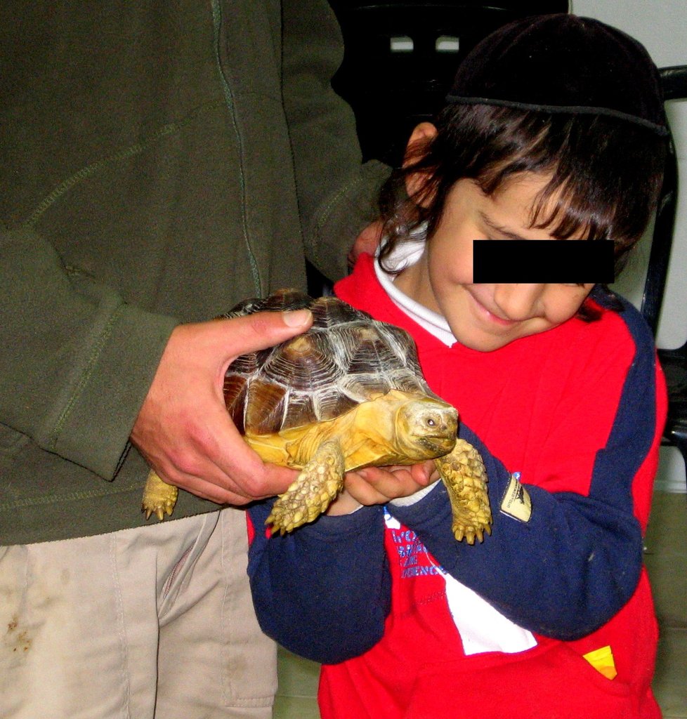 Animal Assisted Therapy for Special Needs Children