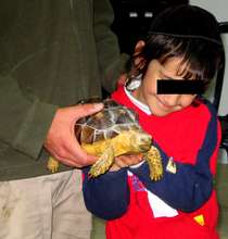 Discovering the joy of bonding with an animal