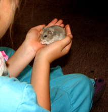 Reaching milestones in emotional development