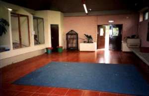 Classroom in the Animal House