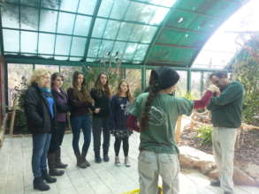 Learning about birds