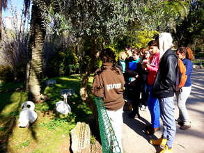 Learning about birds