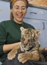 Sylvester. Photo: Aida Michaeli.