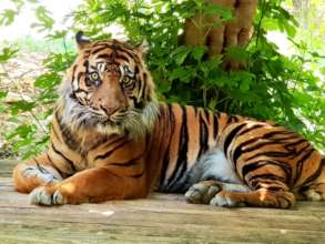 Avigdor (Capalla). Photo credit: Uriel Nuri