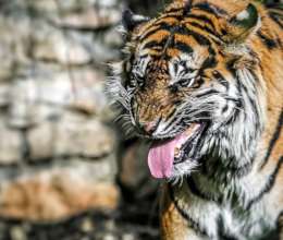 Photo credit: Yair Ben-Ari