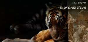 Tiger section on the Zoo's new website